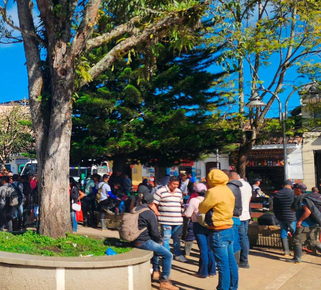 Los campesinos del Cañón del Micay esperan entablar conversaciones con el Gobierno. FOTO CORTESÍA CAUCA AL DÍA 
