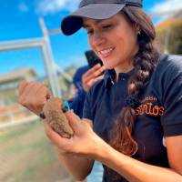 Sara Jaramilo, candidata al Senado por el movimiento Creemos. FOTO: Cortesía