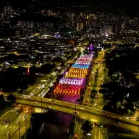 Una de las sorpresas más esperadas de la noche fue el árbol navideño de 25 metros, decorado con orquídeas y ambientado con imágenes proyectadas. FOTO: Camilo Suárez
