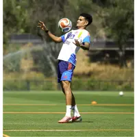 Luis Díaz llega como la máxima figura de Colombia al Mundial. FOTO FCF