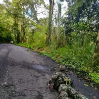 Una de las banderas fue encontrada en el sector El Porvenir, sobre la vía que comunica a la cabecera municipal con el corregimiento de Tapartó. FOTO: Cortesía Ejército Nacional