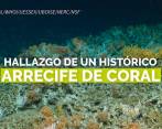 Descubren un prístino arrecife de coral en reserva marina de Galápagos