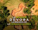 La minería devora la riqueza de la Ciénaga Colombia