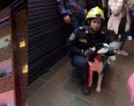 El huskey tiene nueve meses y se encuentra en buen estado de salud. Sus dueños no aparecen. FOTO: 