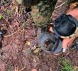 El Ejército derribó uno de los drones terroristas usados por las disidencias de las Farc en el corregimiento San Antonio, de Jamundí. FOTO: CORTESÍA DEL EJÉRCITO.