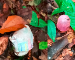Un pañal, una toalla verde, unos tenis y la tapa del tetero rosado fueron encontrados en las últimas horas. Las Fuerzas Armadas y las comunidades indígenas redoblan las tareas de búsqueda. FOTO: Cortesía. 