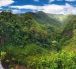 A pocos kilómetros, en Costa Rica hay desiertos, cataratas imponentes y playas como Sámana, con el agua clara y el oleaje suave. FOTO: Getty