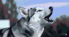 Conoce a Max, el husky siberiano que “habla” español e inglés