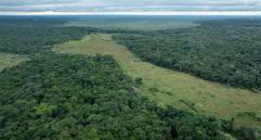 El documento establece siete principios orientadores para la formulación de políticas públicas en esa región. FOTO cortesía Sebastian Di Domenico