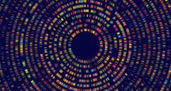 La nueva IA no solo detecta mutaciones genéticas causantes de enfermedad, sino que también las clasifica según su gravedad en todo el organismo. FOTO Agencia Sinc