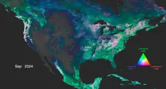 Los datos sobre antocianinas, carotenoides y clorofila iluminan América del Norte, resaltando la vegetación y su estado de salud. FOTO cortesía Estudio de Visualización Científica de la Nasa