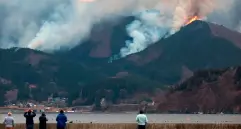 En algunos ecosistemas, los incendios naturales favorecen la regeneración del paisaje y permiten que especies únicas emerjan tras el fuego. FOTO AFP