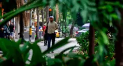 Muestras de aire tomadas en Medellín revelaron una diversidad bacteriana inesperada en el material particulado que circula por la ciudad. FOTO Julio César Herrera 