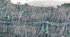 Una imagen similar a esta se verá en el duelo de este lunes en el Atanasio entre Nacional y Junior. FOTO JUAN ANTONIO SÁNCHEZ
