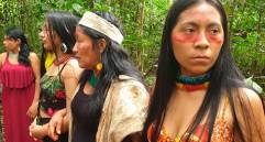 La FAO elogió el trabajo agrícola de las mujeres indígenas del Ecuador. Sus prácticas ancestrales se ajustan a las necesidad del medio ambiente. Foto: Efe.