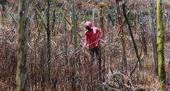 CADI muestra como el cambio climático afecta la producción agricola. FOTO Manuel Saldarriaga.
