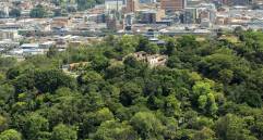 Panorámica del Cerro Nutibara en pleno centro de Medellín. Foto: Andrés Camilo Suárez Echeverry