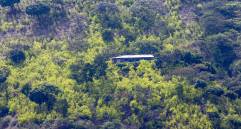 Gobernación de Antioquia le pidió al MinJusticia que inicie cuanto antes fumigaciones de cultivos de coca con drones