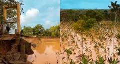 Hay alerta en la vereda La Comarca, en Necoclí, donde el alcalde Guillermo José Cardona Moreno, junto a campesinos del sector, advirtió sobre el inminente colapso del puente colgante sobre el río Mulato. FOTO: Cortesía Alcaldía de Necoclí