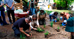 En los años 80 en Medellín, distintas entidades se reunieron y entendieron que el aseo no podría ser responsabilidad de una sola persona, así comienza la historia del comité. FOTO: Cortesía Alcaldía de Medellín