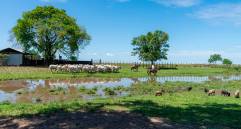 El estudio, destacado por el Frontiers Planet Prize, demuestra que la diversificación agrícola beneficia a la biodiversidad y a las comunidades rurales. FOTO cortesía TNC