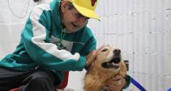 Uno de los perros que estuvo presente en el hogar geriátrico San Cristóbal. FOTO: Cortesía