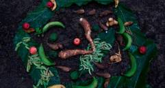 Entre fogones, huertas y recetas locales se tejió una guía que celebra la diversidad alimentaria de Colombia. FOTO cortesía UdeA