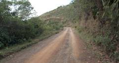 La Gobernación de Antioquia anunció las inversiones millonarias para la pavimientación de caminos de trocha del departamento. FOTO: MANUEL SALDARRIAGA