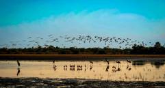 Imágenes de la reserva familiar La Palmita, en el Casanare, que es administrada por Catalina Mora. En esa región existe un entramado de humedales, ríos y sabanas con una función silenciosa. FOTO Cortesía Bruno Ferreiro/WWF