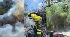 Incendio en vía Las Palmas fue provocado, confirmó el alcalde de Medellín, Federico Gutiérrez. Fotos: X @FicoGutierrez - @DAGRDMedellin