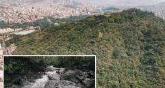 Imagen de referencia de la biodiversidad de la ciudad de Medellín. FOTO: Cortesía.