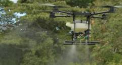 Este plan piloto cuenta con el aval del Programa de Erradicación de Cultivos Ilícitos mediante Aspersión Terrestre (Pecat) y espera las autorizaciones finales de la Autoridad Nacional de Licencias Ambientales (Anla). FOTO: Ministerio de Defensa