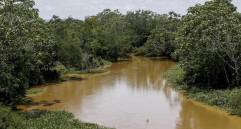 El río Magdalena es un tesoro hídrico de la región colombiana. Foto: Jaime Pérez Munévar