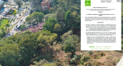 Esta es la zona donde se realiza la tala para erigir dos unidades residenciales en un lote cercano a Las Palmas. FOTO: Cortesía Área Metropolitana