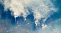 El bosque tropical es uno de los ecosistemas más diversos y estratégicos para el equilibrio ambiental. FOTO Nasa Earth