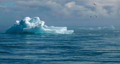 En la Conferencia de las Naciones Unidas sobre los Océanos, que se realiza en Niza, científicos y líderes de la sociedad civil alertan sobre el deterioro acelerado de los ecosistemas marinos y exigen compromisos reales para frenar la crisis. FOTO Pixabay