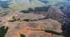 La deforestación continúa afectando áreas protegidas de la Amazonía colombiana. Greenpeace identificó 8.896 hectáreas de bosque perdidas durante 2025 en los parques nacionales Sierra de La Macarena, Serranía de Chiribiquete y Tinigua. FOTO: Gentileza FCDS.