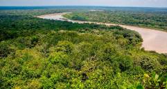 La restauración y protección de los bosques es una de las prioridades de los territorios que integran el GCF Task Force, una red que impulsa soluciones locales frente a la crisis climática. FOTO: Juan Antonio Sánchez