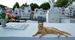 ¿Se le mide? Ir de paseo a conocer fantasmas