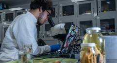 1.270 especímenes pertenecientes a 183 especies hacen parte de esta biblioteca genética. FOTO: Grupo de Ictiología de la Universidad de Antioquia. 