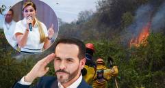 La gobernadora del Tolima denunció amenazas contra brigadistas militares que intentan apagar incendios e Tolima. Fotos: Getty Images, Manuel Saldarriaga y @adrianamatiztol