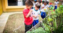 Los niños y niñas se involucran en el cuidado de las plantas presentes en los centros donde ellos son atenidos. FOTO: CORTESÍA ALCALDÍA