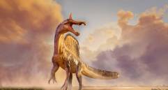 Esta es una de las representaciones realizadas del Spinosaurus mirabilis. FOTO: Dani Navarro