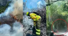 El incendio declarado en Las Palmas fue controlado por Bomberos Medellín. Un hombre fue capturado y judicializado por la afectación ambiental. FOTO tomadas de X