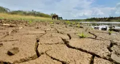 El 50% del agua que se consume en el mundo ahora se obtiene de las aguas subterráneas. FOTO: Colprensa