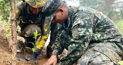 Imagen de referencia de una jornada de siembra en el Bosque de los Héroes de Medellín. FOTO: Cortesía.