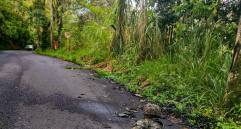 Una de las banderas fue encontrada en el sector El Porvenir, sobre la vía que comunica a la cabecera municipal con el corregimiento de Tapartó. FOTO: Cortesía Ejército Nacional