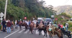Hasta caballos utilizaron los manifestantes para hacer el bloqueo en la vía al Occidente. FOTO: CORTESÍA