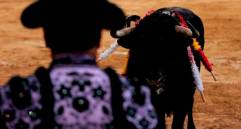 El Ministerio del Trabajo había suspendido la temporada taurina por cuenta de la polémica que generó la participación del llamado ‘niño prodigio del toreo’, Marcos Pérez, de apenas 15 años. FOTO: COLPRENSA