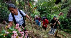 La Corporación Huerta Escuela Esther Vásuqe está ubicada en la Carrera 28 # 107 - 661 (Interior 1012) en lo alto del barrio Santo Domingo Savio. FOTO: Julio César Herrera.